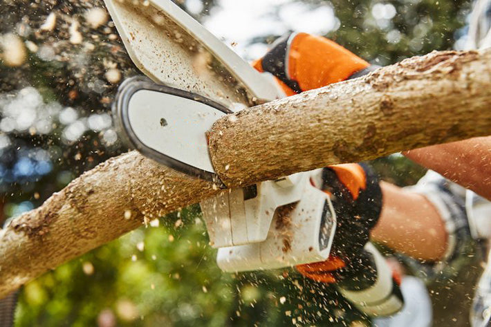 The Indestructible Chainsaw