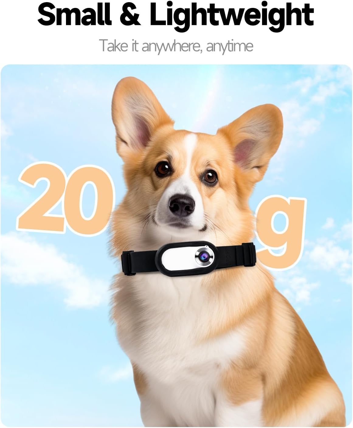 Pet Collar Camera