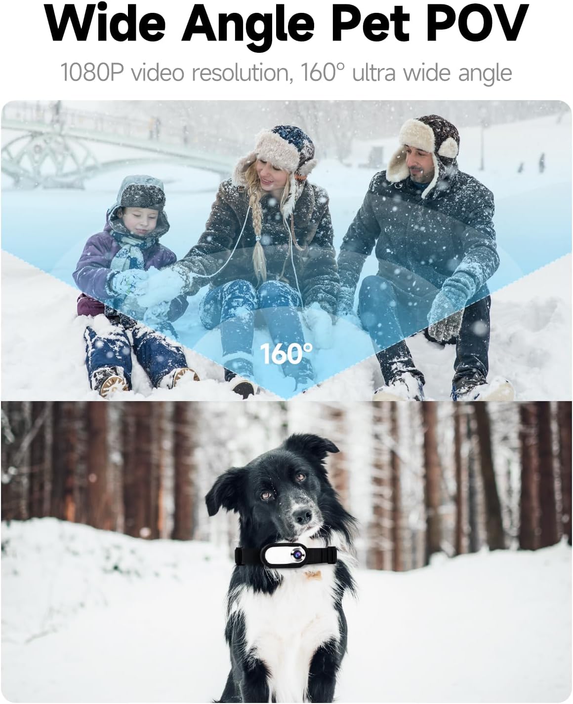 Pet Collar Camera