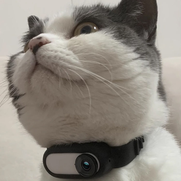 Pet Collar Camera