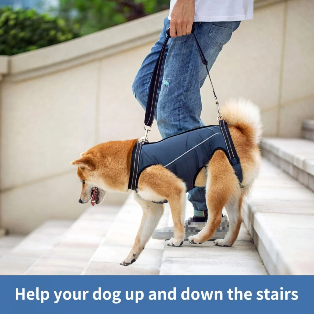 Dog Lift Harness for Injured & Senior Dogs with Arthritis