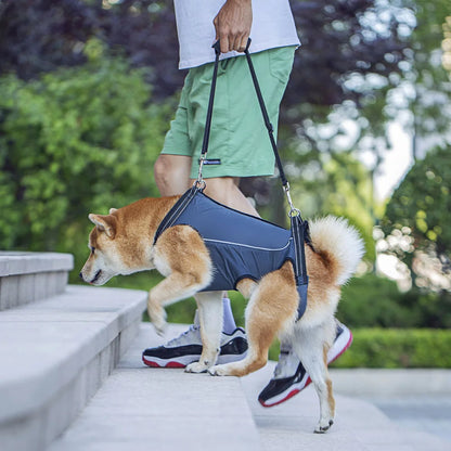 Dog Lift Harness for Injured & Senior Dogs with Arthritis