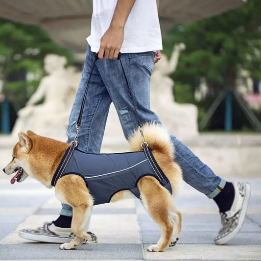 Dog Lift Harness for Injured & Senior Dogs with Arthritis