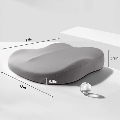 Adult Car Seat Booster