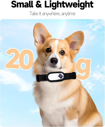Pet Collar Camera